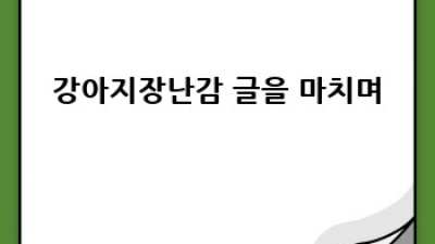 댕댕이 행복 UP! 강아지 장난감 완벽 가이드